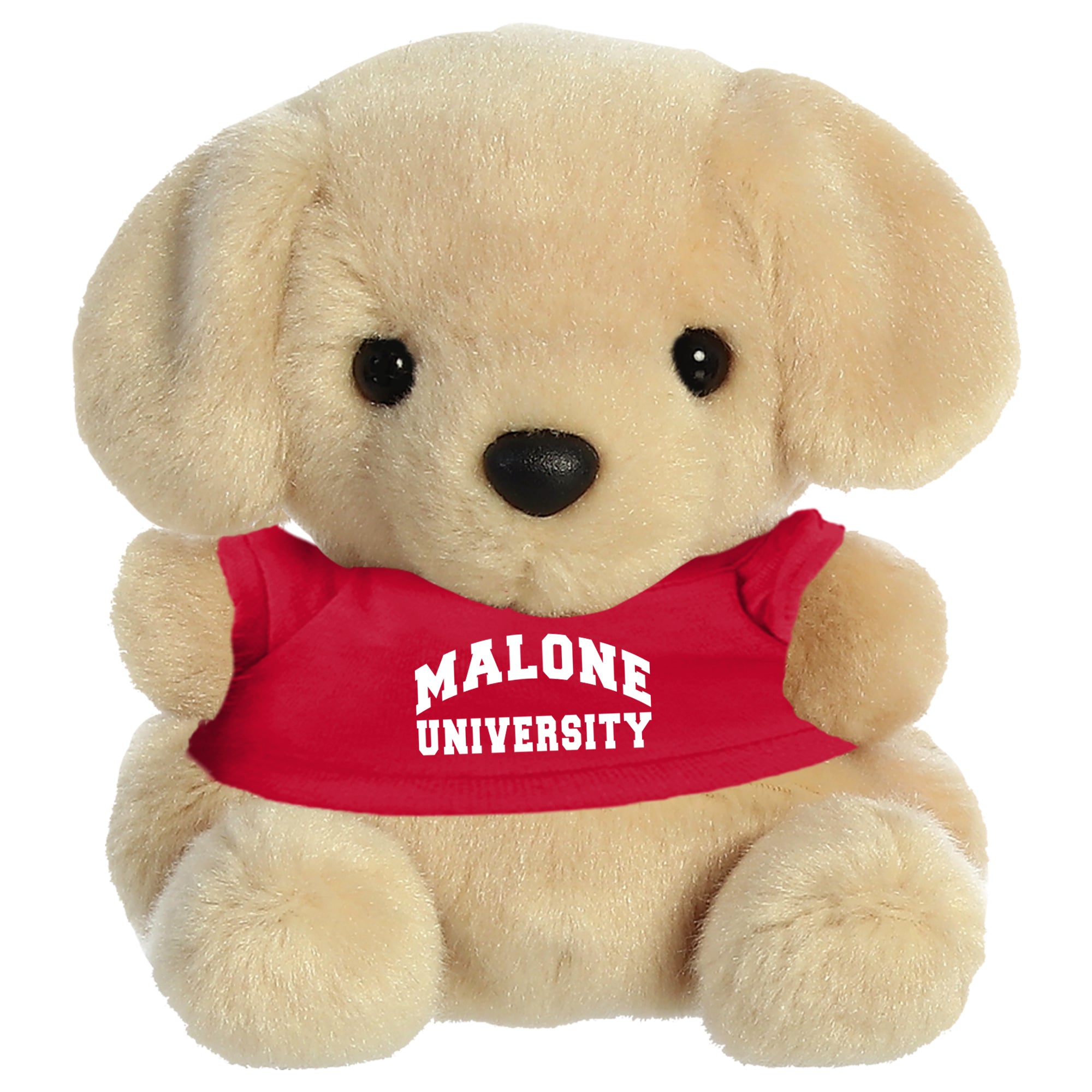 Aurora Palm Pals | Lab – Malone Campus Store