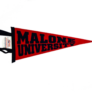 6x15 Pennant by Collegiate Pacific